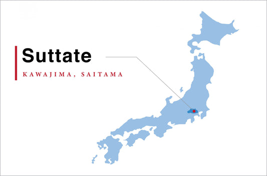 <i>B-kyu Gurume:  Suttate Udon from Kawajima!</i>