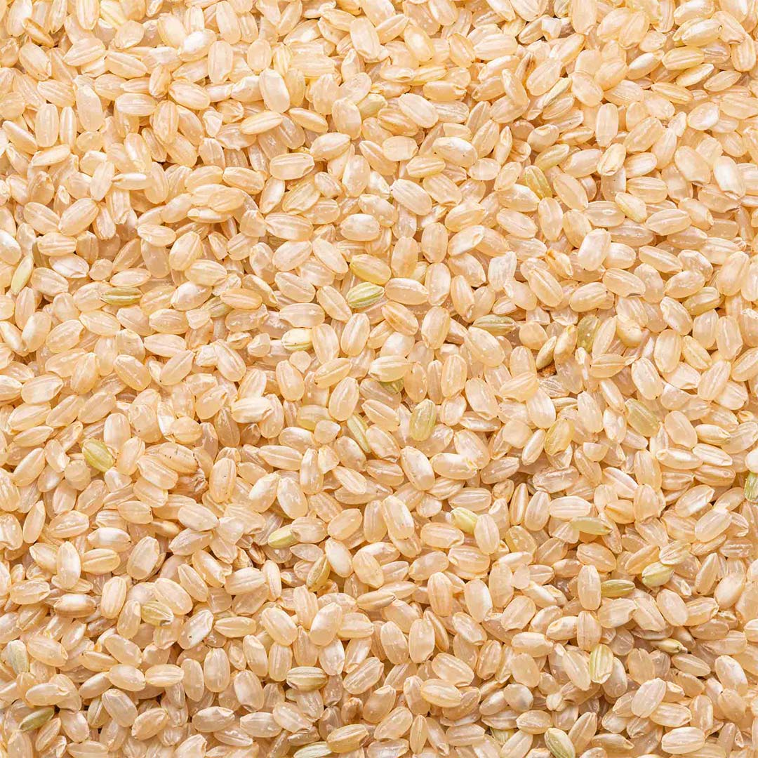 Zojirushi x Lundberg Organic Short Grain Brown Rice
